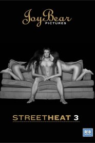 Street Heat 3