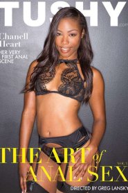 The Art Of Anal Sex 3