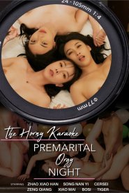 The Horny Karaoke – Premarital Orgy Night