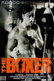 The Boxer