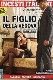 Il figlio della vedova