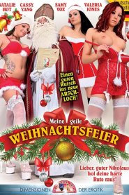 Meine geile Weihnachtsfeier