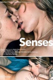 Senses