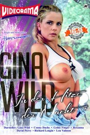 Gina Wild &#8211; In der Hitze der Nacht