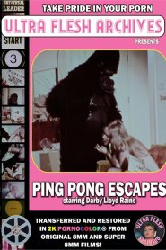 Ping Pong Escapes