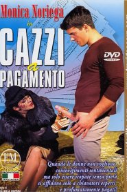 Cazzi a pagamento