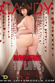 More To Love 3